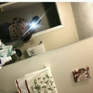 Meet your Posher, Samuel